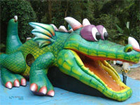 PULA PULA DRAGÃO